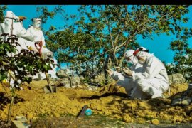 Satu PDP asal Desa Baluti, Kandangan dilaporkan meninggal dunia