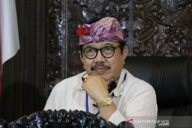 Wagub: "Kerja dari Bali" potensial dikembangkan di tengah pandemi