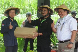 Mentan jamin ketersediaan pangan hingga akhir tahun