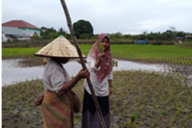 Penyuluh dan petani Sarolangun bersinergi jaga stabilitas ketahanan pangan