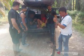 Pencuri ternak di Solok Selatan ditangkap saat mengambil BLT