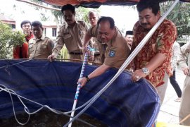 Pemkab Bangka Tengah salurkan 1.000 bibit lele kepada komunitas wartawan