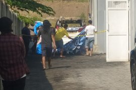 Mobil Via Vallen terbakar