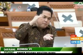 Erick Thohir pangkas 35 BUMN
