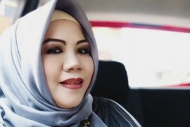 Belum ada perkembangan pembangunan PLTN di Kalbar