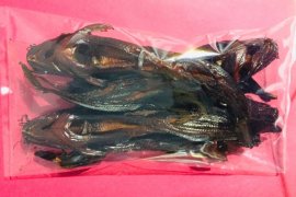 DKP Bangka Barat dorong warga geluti usaha pengolahan ikan