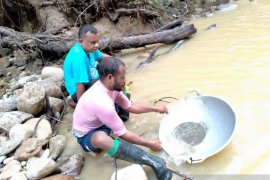 Transaksi emas tambang Korowai dijual ke sejumlah daerah