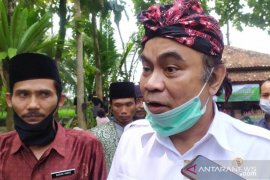 Villages can aid food self-sufficiency amid pandemic: minister