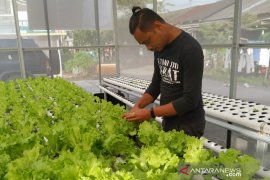 DPRD Banjarmasin dukung peningkatan kemampuan wirausaha muda