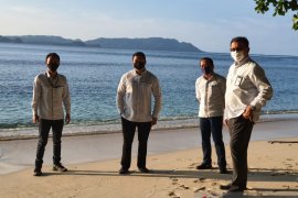 Dukung KEK pariwisata Likupang, PLN restorasi hutan mangrove