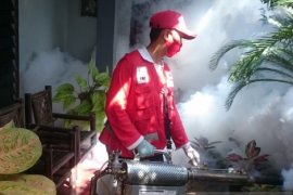 PMI Jember lakukan fogging cegah DBD saat pandemi COVID-19