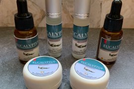 Antivirus eucalyptus untuk COVID-19 diproduksi massal oleh swasta