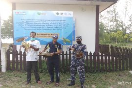 KKP lepasliarkan dua "fosil hidup" di perairan Sumatera Utara