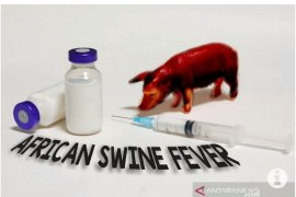 Ada temuan virus, Kementan tegaskan tidak impor babi dari China