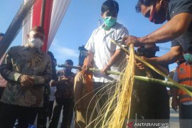 Menkop UKM: Perajin lidi nipah ciptakan kerajinan bernilai tinggi