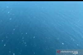 Dimonim Air bantu cari korban kapal tenggelam dari udara