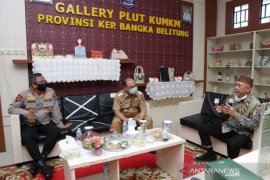 Menkop UKM puji upaya Gubernur Erzaldi dorong semangat UMKM Babel