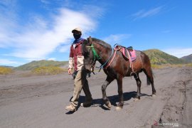 Jasa penyewaan kuda di Bromo