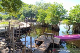 Pengelola wisata mangrove Bengkulu terapkan normal baru