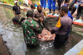 Ponggalan jadi Kampung Tangguh Nusantara di Yogyakarta