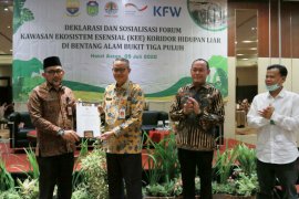 Pemprov Jambi dukung konservasi Gajah Sumatera di Bentang Alam Bukit Tiga Puluh