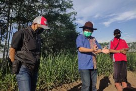 PTPN XI fasilitasi petani tebu dapat permodalan PKBL
