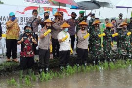 Pemkab Bangka Tengah tetapkan Namang sebagai desa ketahanan pangan