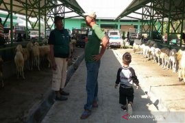 Permintaan hewan kurban dari Gunung Kidul tinggi