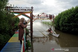 Ekowisata Mangrove Lantebung mulai dibuka Page 1 Small