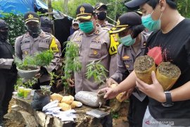 Polisi ungkap penemuan satu hektar ladang tempat penanaman ganja di Bandung