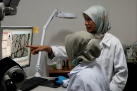 Komite I DPD RI berharap Balitbangtan lanjutkan riset eucalyptus