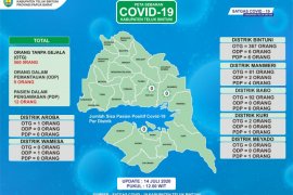 Dua kabupaten di Papua Barat kembali ke zona hijau