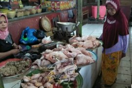 Harga daging ayam capai Rp90 ribu perekor