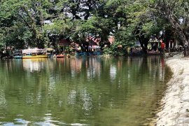 Gawat, ratusan ikan nila mati di Danau Raja
