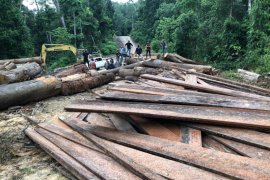 Polisi tangkap dua pembalak liar dan barang bukti escavator di Aceh Jaya