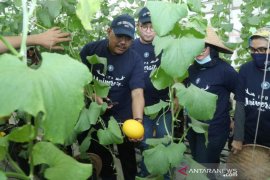 Kagum teknologi pertanian IPB, Gus Jazil ajak milenial bertani