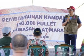Gubernur NTB mencanangkan pembangunan 100 ribu pullet ayam petelur