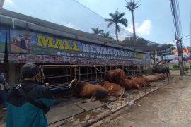 Pemkot Depok tetapkan standar penanganan limbah hewan kurban