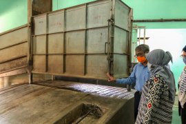 RPH Giwangan Yogyakarta maksimal memotong 225 sapi kurban