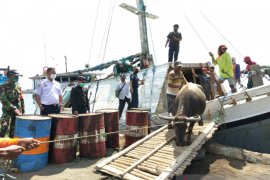 Jelang Idul Adha, petugas Kesyahbandaran Situbondo awasi aktivitas bongkar muat sapi