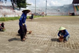Demi Piala Dunia U-20, rumput Stadion Tambaksari Surabaya diganti sesuai standar FIFA