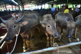 PERGANTIAN MUSIM TANAM MEMASUKI KEMARAU