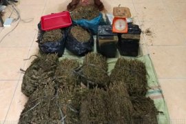 Polisi ringkus dua mahasiswa pengedar ganja