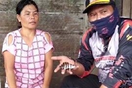 Harga fantastis, nelayan Bayung Lencir gencar berburu ikan elang