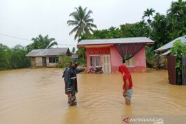 Floods inundate 1,119 homes in five sub-districts in Aceh Jaya