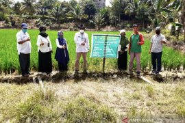 DPTPH Kaltim sosialisasi program Kostratani