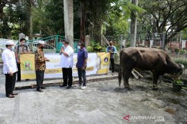 Hasnur Gruop Berbagi Hewan Kurban