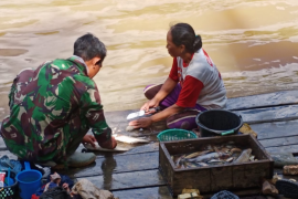 Anggota Satgas TMMD 108 Kodim 1202/Skw selalu bantu orang tua angkatnya