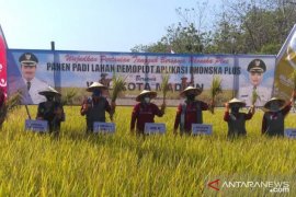 Pemkot Madiun dorong petani optimalkan produksi pertanian