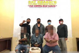 Tiga penjual satwa langka dilindungi ditangkap di Pasaman Barat, 22 kilogram sisik trenggiling diamankan